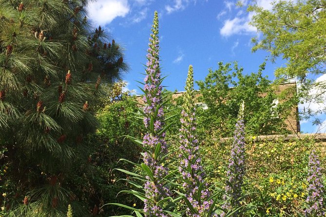 Secret Gardens of London Private Tour - Why this private London garden tour is different