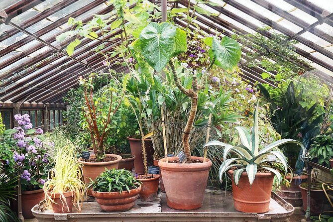 Secret Gardens of London Private Tour - How the private cab changes the day