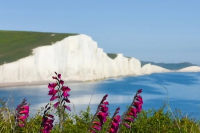 Seven Sisters & South Downs Tour with Train Tickets Included - Guides, minivan comfort, and the pace of the day