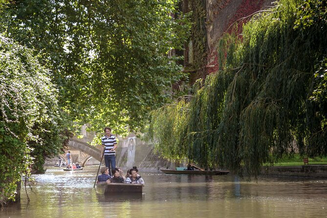 Shared Guided Punting Tour of Cambridge - College gardens and the famous Backs