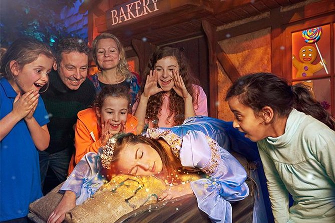 Shrek's Adventure! London Entrance Ticket - Timing, queues, and the pace of the show