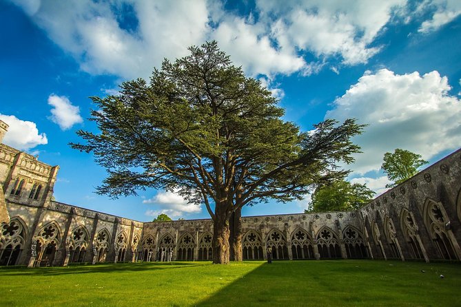 Southampton: Post-Cruise Tour to London via Salisbury, Stonehenge and Windsor - Who should book this tour?