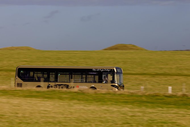 Stonehenge Shuttle Bus from London with Optional Fish & Chips - Who should choose this Stonehenge trip?