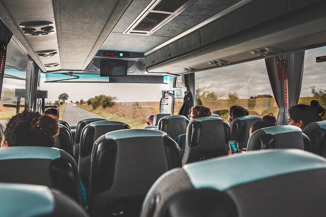 Stonehenge Special Access Guided Morning Tour from London - Salisbury Cathedral and the Magna Carta
