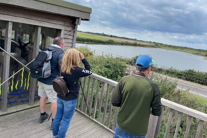 Sussex Birdwatching Private Guided Day Tour - Pulborough Brooks: floodplain birds and winter wildfowl