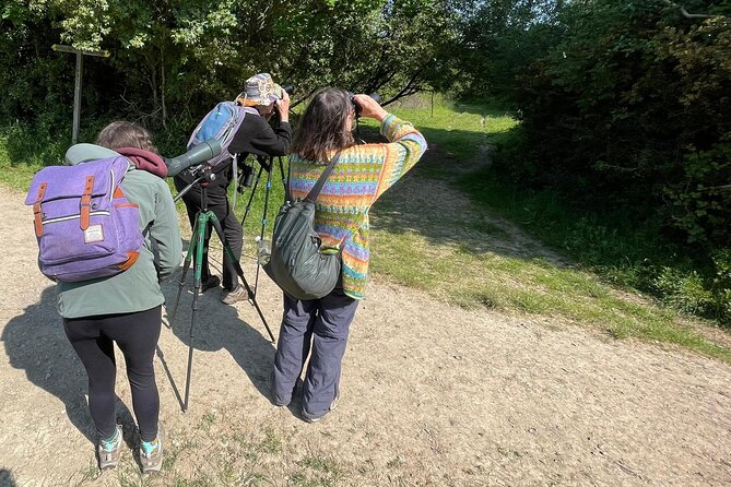 Sussex Birdwatching Private Guided Day Tour - Pagham Harbour: waders, wildfowl, and summer terns
