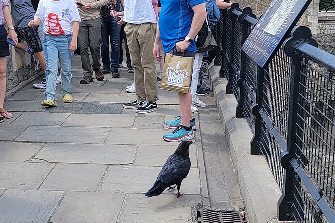Tower of London: Guided Tour with Thames River Cruise - Why the guide matters more than the ticket
