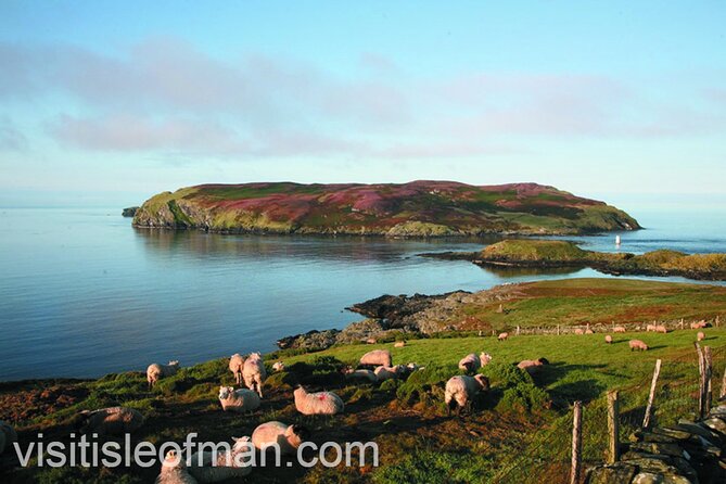 Viking Tour of the Isle of Man - Half Day - Private Tour - Balladoole and the Viking boat burial