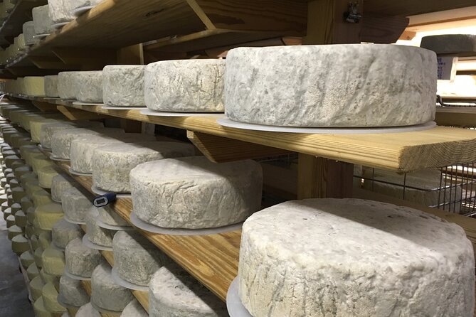Vineyard & Cheesemaker Bus Tour of Sussex - Court Gardens and the first four sparkling wines