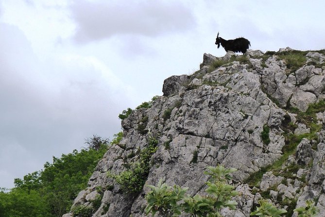 Wells, Cheddar Cheese and Cheddar Gorge - Private Day Trip from Bath - Vicars’ Close and the quieter side of Wells