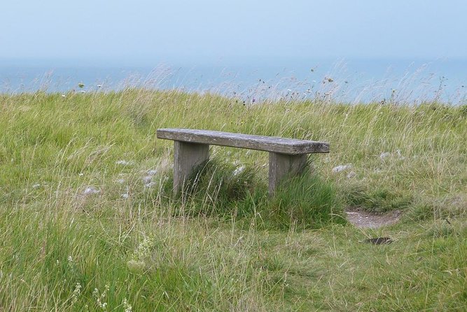 White Cliffs of Dover & Historic Canterbury Day Tour from London - Walking, weather, and family suitability