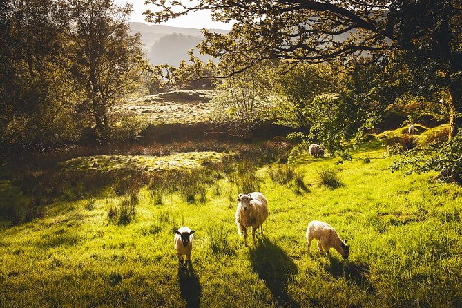 Windermere & Lake District Tour from Manchester Including Cruise - Bowness-on-Windermere: your first hour beside the water