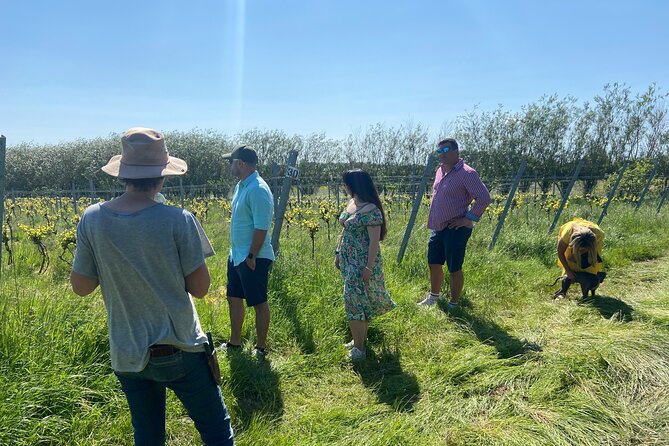 Wine & Cheese in the Somerset Valleys - with Michelin-star lunch! - Cheddar village and cheese made in Cheddar