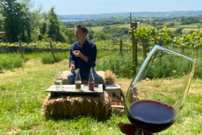 Wine & Cheese in the Somerset Valleys - with Michelin-star lunch! - Limeburn Hill and the view over Chew Valley Lake
