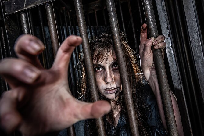 York Dungeon Entry Ticket - What happens inside the York Dungeon