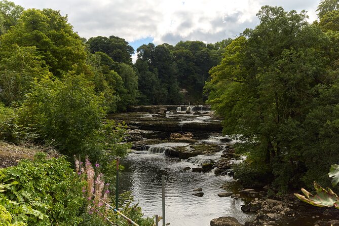 Yorkshire Dales Tour from York - Wensleydale Creamery for cheese, lunch, and a taste of local life