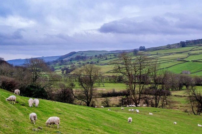 Yorkshire Dales Tour from York - Why the $77.64 price can make sense